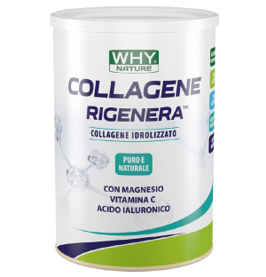 COLLAGENE IDROLIZZATO RIGENERA WHYNATURE 330 GR GUSTO NEUTRO